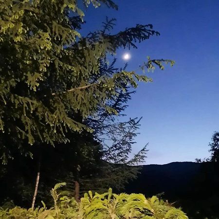 Kalmul Naturii, Iuresul Padurii Firiza-de-Jos Екстериор снимка